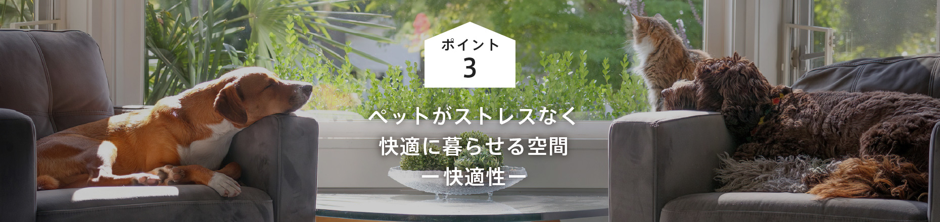 ポイント3: ペットがストレスなく快適に暮らせる空間 ー快適性ー