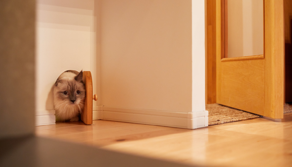 ペットリフォームフォトギャラリー